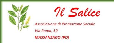 Associazione il Salice (sito in allestimento) Logo